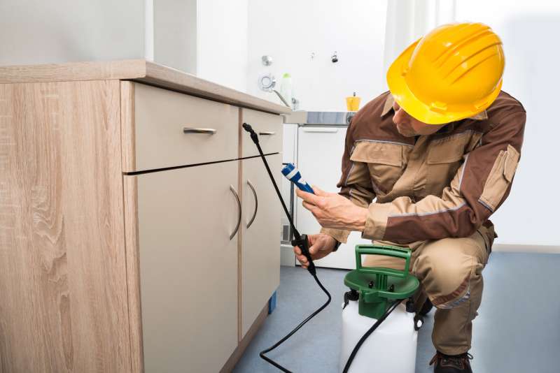 Electromagnetic and Ultrasonic Pest Repellents
